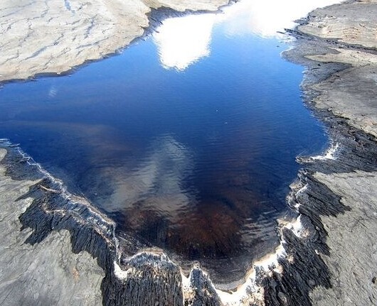 pitch lake sulphur pool